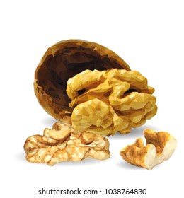 Fresh, nutritious, tasty walnut. Nuts ingredients in triangulation technique. Vector illustration. Nuts ingredients in triangulation technique. Walnut low poly.