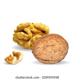 Fresh, nutritious, tasty walnut. Nuts ingredients in triangulation technique. Vector illustration. Nuts ingredients in triangulation technique. Walnut low poly.