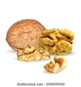 Fresh, nutritious, tasty walnut. Nuts ingredients in triangulation technique. Vector illustration. Nuts ingredients in triangulation technique. Walnut low poly.