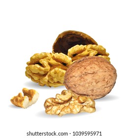 Fresh, nutritious, tasty walnut. Nuts ingredients in triangulation technique. Vector illustration. Nuts ingredients in triangulation technique. Walnut low poly.
