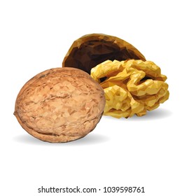 Fresh, nutritious, tasty walnut. Nuts ingredients in triangulation technique. Vector illustration. Nuts ingredients in triangulation technique. Walnut low poly.