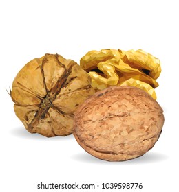 Fresh, nutritious, tasty walnut. Nuts ingredients in triangulation technique. Vector illustration. Nuts ingredients in triangulation technique. Walnut low poly.