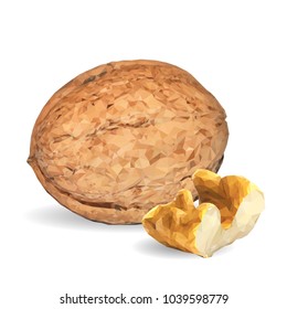Fresh, nutritious, tasty walnut. Nuts ingredients in triangulation technique. Vector illustration. Nuts ingredients in triangulation technique. Walnut low poly.