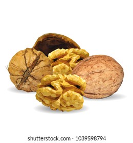 Fresh, nutritious, tasty walnut. Nuts ingredients in triangulation technique. Vector illustration. Nuts ingredients in triangulation technique. Walnut low poly.