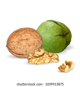 Fresh, nutritious, tasty walnut. Nuts ingredients in triangulation technique. Vector illustration. Nuts ingredients in triangulation technique. Walnut low poly.