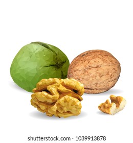 Fresh, nutritious, tasty walnut. Nuts ingredients in triangulation technique. Vector illustration. Nuts ingredients in triangulation technique. Walnut low poly.