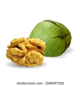 Fresh, nutritious, tasty walnut. Nuts ingredients in triangulation technique. Vector illustration. Nuts ingredients in triangulation technique. Walnut low poly.
