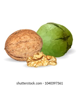 Fresh, nutritious, tasty walnut. Nuts ingredients in triangulation technique. Vector illustration. Nuts ingredients in triangulation technique. Walnut low poly.