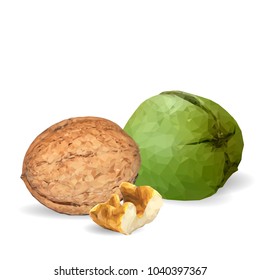 Fresh, nutritious, tasty walnut. Nuts ingredients in triangulation technique. Vector illustration. Nuts ingredients in triangulation technique. Walnut low poly.