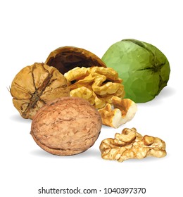Fresh, nutritious, tasty walnut. Nuts ingredients in triangulation technique. Vector illustration. Nuts ingredients in triangulation technique. Walnut low poly.