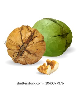 Fresh, nutritious, tasty walnut. Nuts ingredients in triangulation technique. Vector illustration. Nuts ingredients in triangulation technique. Walnut low poly.