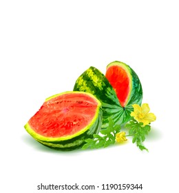 Fresh, nutritious and tasty watermelon. Symbols of berries. Elements for label design. Vector illustration. Berries ingredients in triangulation technique. Watermelon low poly.