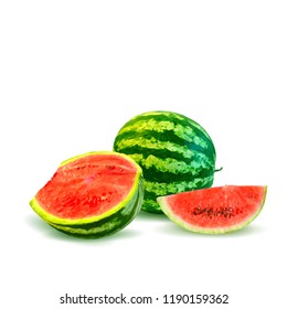 Fresh, nutritious and tasty watermelon. Symbols of berries. Elements for label design. Vector illustration. Berries ingredients in triangulation technique. Watermelon low poly.