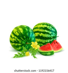 Fresh, nutritious and tasty watermelon. Symbols of berries. Elements for label design. Vector illustration. Berries ingredients in triangulation technique. Watermelon low poly.