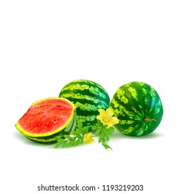 Fresh, nutritious and tasty watermelon. Symbols of berries. Elements for label design. Vector illustration. Berries ingredients in triangulation technique. Watermelon low poly.