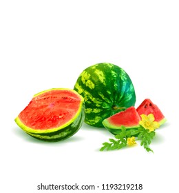 Fresh, nutritious and tasty watermelon. Symbols of berries. Elements for label design. Vector illustration. Berries ingredients in triangulation technique. Watermelon low poly.