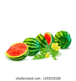 Fresh, nutritious and tasty watermelon. Symbols of berries. Elements for label design. Vector illustration. Berries ingredients in triangulation technique. Watermelon low poly.