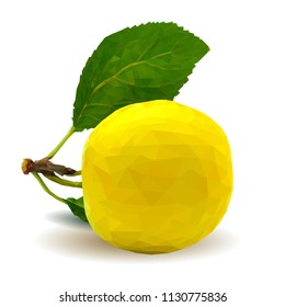 Fresh, nutritious, tasty yellow cherry plum. Delicious and healthy dessert. Elements for label design. Vector illustration. Fruits ingredients in triangulation technique. Cherry plum low poly. 