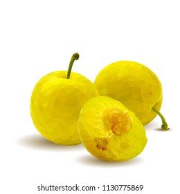 Fresh, nutritious, tasty yellow cherry plum. Delicious and healthy dessert. Elements for label design. Vector illustration. Fruits ingredients in triangulation technique. Cherry plum low poly. 