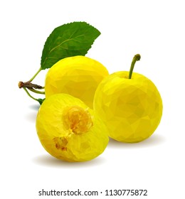 Fresh, nutritious, tasty yellow cherry plum. Delicious and healthy dessert. Elements for label design. Vector illustration. Fruits ingredients in triangulation technique. Cherry plum low poly. 