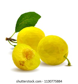 Fresh, nutritious, tasty yellow cherry plum. Delicious and healthy dessert. Elements for label design. Vector illustration. Fruits ingredients in triangulation technique. Cherry plum low poly. 