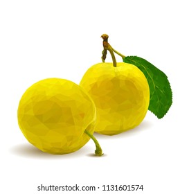 Fresh, nutritious, tasty yellow cherry plum. Delicious and healthy dessert. Elements for label design. Vector illustration. Fruits ingredients in triangulation technique. Cherry plum low poly. 