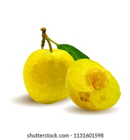 Fresh, nutritious, tasty yellow cherry plum. Delicious and healthy dessert. Elements for label design. Vector illustration. Fruits ingredients in triangulation technique. Cherry plum low poly. 