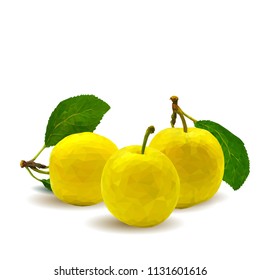 Fresh, nutritious, tasty yellow cherry plum. Delicious and healthy dessert. Elements for label design. Vector illustration. Fruits ingredients in triangulation technique. Cherry plum low poly. 