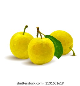 Fresh, nutritious, tasty yellow cherry plum. Delicious and healthy dessert. Elements for label design. Vector illustration. Fruits ingredients in triangulation technique. Cherry plum low poly. 