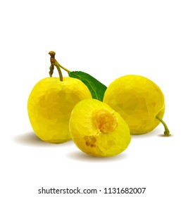 Fresh, nutritious, tasty yellow cherry plum. Delicious and healthy dessert. Elements for label design. Vector illustration. Fruits ingredients in triangulation technique. Cherry plum low 