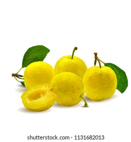 Fresh, nutritious, tasty yellow cherry plum. Delicious and healthy dessert. Elements for label design. Vector illustration. Fruits ingredients in triangulation technique. Cherry plum low 
