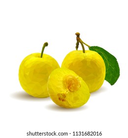 Fresh, nutritious, tasty yellow cherry plum. Delicious and healthy dessert. Elements for label design. Vector illustration. Fruits ingredients in triangulation technique. Cherry plum low 