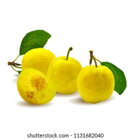 Fresh, nutritious, tasty yellow cherry plum. Delicious and healthy dessert. Elements for label design. Vector illustration. Fruits ingredients in triangulation technique. Cherry plum low 