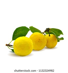 Fresh, nutritious, tasty yellow cherry plum. Delicious and healthy dessert. Elements for label design. Vector illustration. Fruits ingredients in triangulation technique. Cherry plum low poly. 