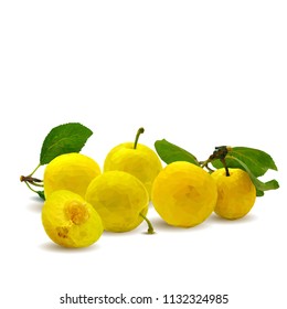 Fresh, nutritious, tasty yellow cherry plum. Delicious and healthy dessert. Elements for label design. Vector illustration. Fruits ingredients in triangulation technique. Cherry plum low poly. 