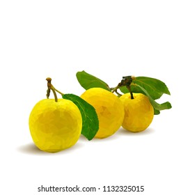 Fresh, nutritious, tasty yellow cherry plum. Delicious and healthy dessert. Elements for label design. Vector illustration. Fruits ingredients in triangulation technique. Cherry plum low poly. 