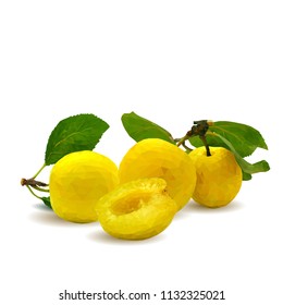 Fresh, nutritious, tasty yellow cherry plum. Delicious and healthy dessert. Elements for label design. Vector illustration. Fruits ingredients in triangulation technique. Cherry plum low poly. 