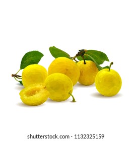 Fresh, nutritious, tasty yellow cherry plum. Delicious and healthy dessert. Elements for label design. Vector illustration. Fruits ingredients in triangulation technique. Cherry plum low poly. 
