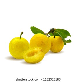 Fresh, nutritious, tasty yellow cherry plum. Delicious and healthy dessert. Elements for label design. Vector illustration. Fruits ingredients in triangulation technique. Cherry plum low poly. 
