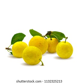 Fresh, nutritious, tasty yellow cherry plum. Delicious and healthy dessert. Elements for label design. Vector illustration. Fruits ingredients in triangulation technique. Cherry plum low poly. 