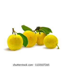 Fresh, nutritious, tasty yellow cherry plum. Delicious and healthy dessert. Elements for label design. Vector illustration. Fruits ingredients in triangulation technique. Cherry plum low poly. 