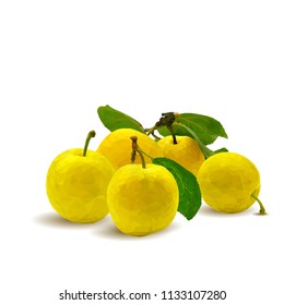 Fresh, nutritious, tasty yellow cherry plum. Delicious and healthy dessert. Elements for label design. Vector illustration. Fruits ingredients in triangulation technique. Cherry plum low poly. 
