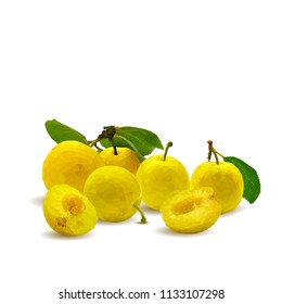 Fresh, nutritious, tasty yellow cherry plum. Delicious and healthy dessert. Elements for label design. Vector illustration. Fruits ingredients in triangulation technique. Cherry plum low poly. 