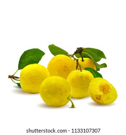 Fresh, nutritious, tasty yellow cherry plum. Delicious and healthy dessert. Elements for label design. Vector illustration. Fruits ingredients in triangulation technique. Cherry plum low poly. 