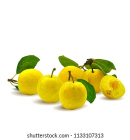 Fresh, nutritious, tasty yellow cherry plum. Delicious and healthy dessert. Elements for label design. Vector illustration. Fruits ingredients in triangulation technique. Cherry plum low poly. 