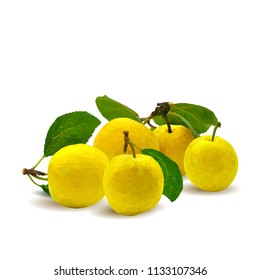 Fresh, nutritious, tasty yellow cherry plum. Delicious and healthy dessert. Elements for label design. Vector illustration. Fruits ingredients in triangulation technique. Cherry plum low poly. 