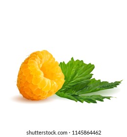 Fresh, nutritious and tasty yellow raspberries. Bloom of raspberries. Symbols of berries. Elements for label design. Vector illustration. Berries ingredients in triangulation technique. Yellow raspber