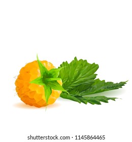 Fresh, nutritious and tasty yellow raspberries. Bloom of raspberries. Symbols of berries. Elements for label design. Vector illustration. Berries ingredients in triangulation technique. Yellow raspber