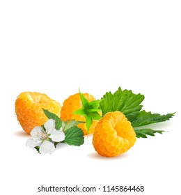 Fresh, nutritious and tasty yellow raspberries. Bloom of raspberries. Symbols of berries. Elements for label design. Vector illustration. Berries ingredients in triangulation technique. Yellow raspber