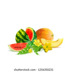 Fresh, nutritious watermelon and tasty melon. Symbols of berries. Elements for label design. Vector illustration. Berries ingredients in triangulation technique. Melon and watermelon low poly.